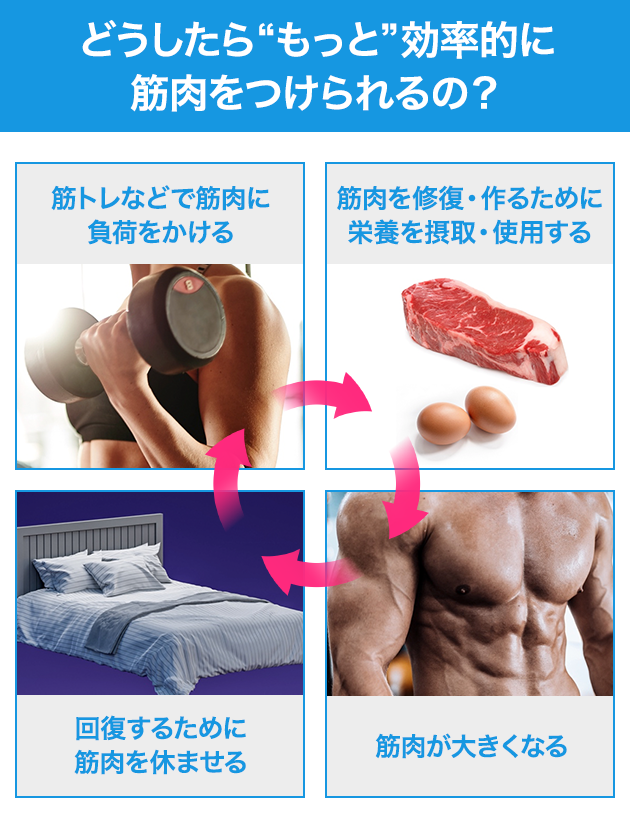 どうしたら“もっと”効率的に筋肉をつけられるの?