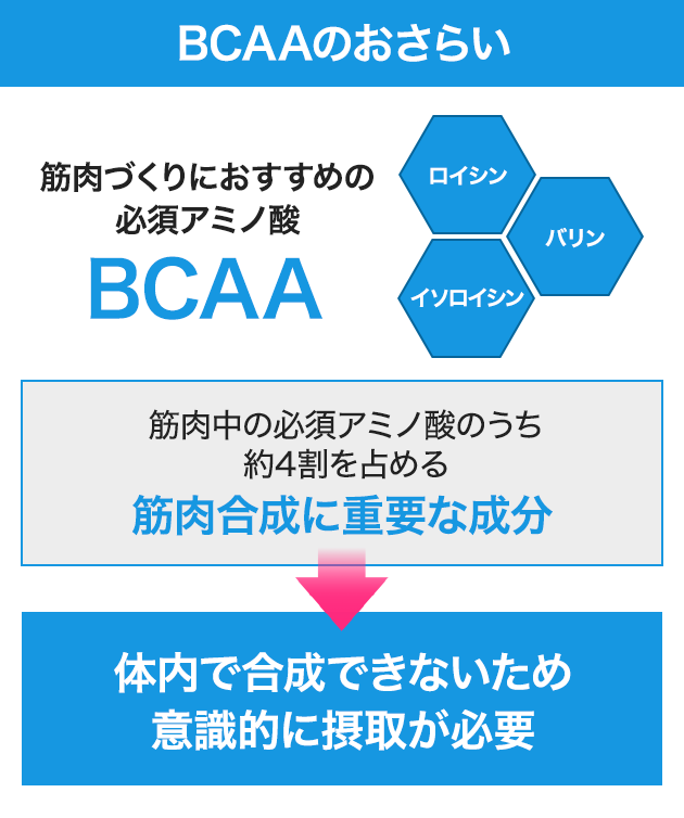 BCAA のおさらい