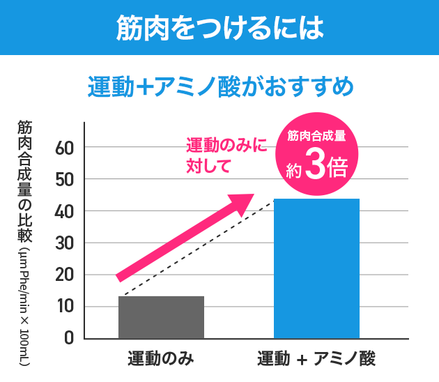 筋肉をつけるには
